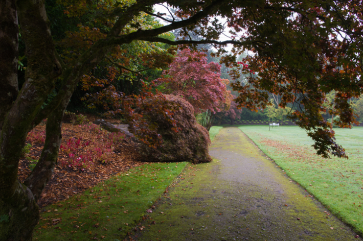 Formal gardens