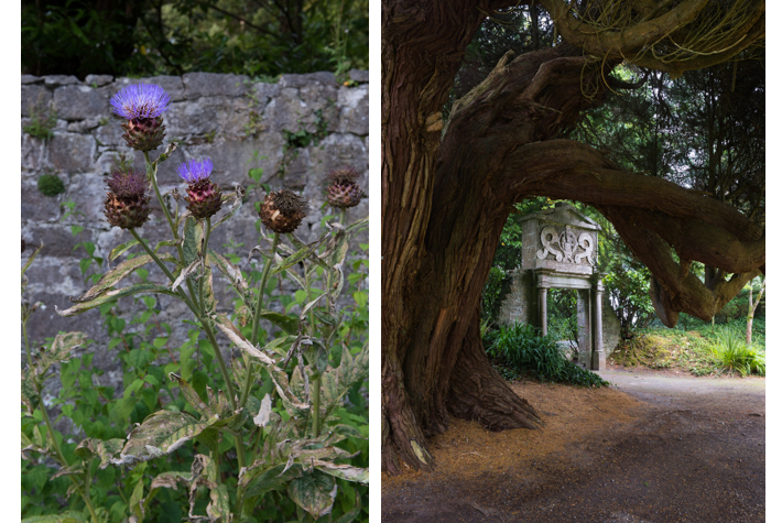 Walled garden; gate