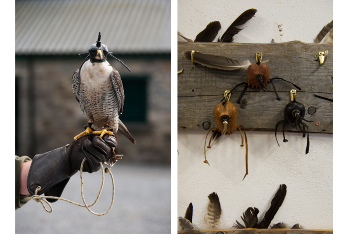 Hawk and head dresses