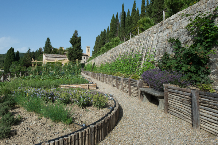 kitchen garden