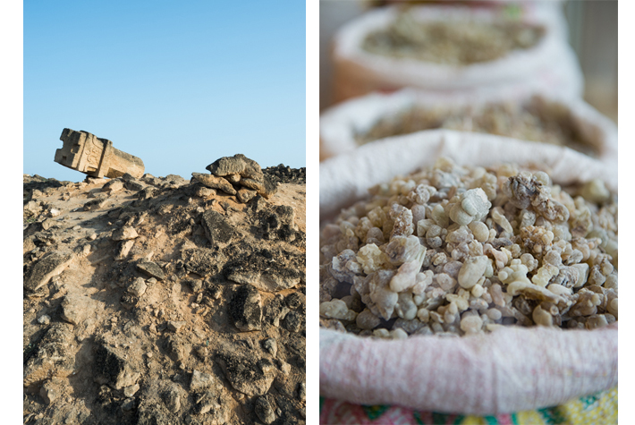 frankincense land, frankincense