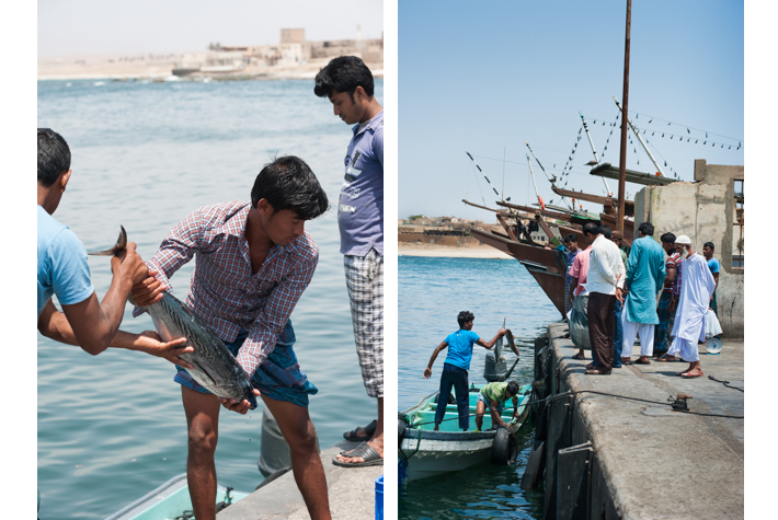 Mirbat port, bringing in the catch