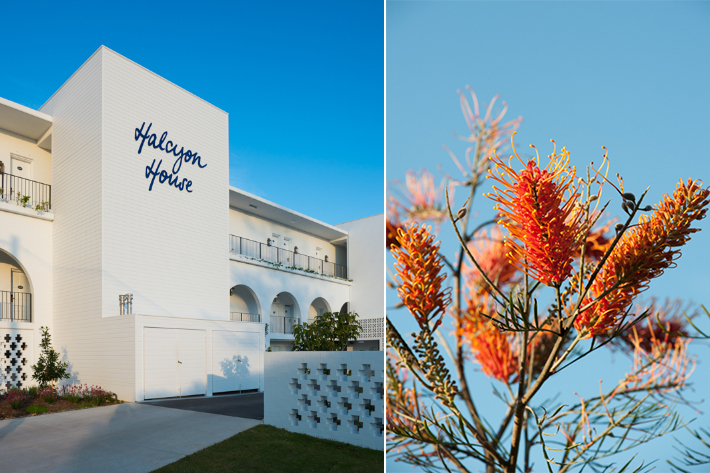 Halcyon House, bottlebrush