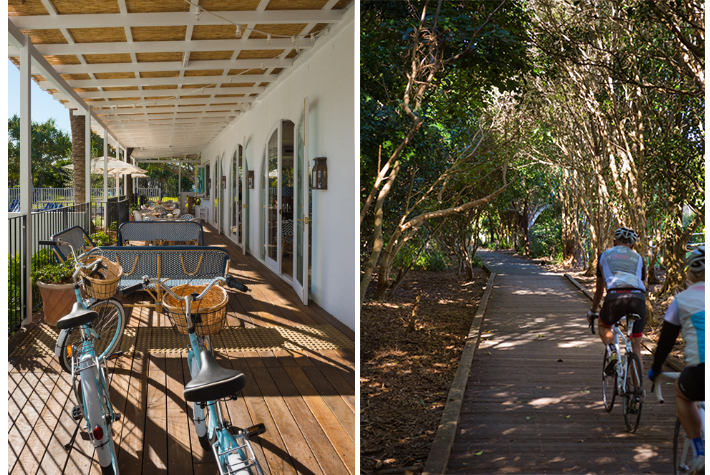 bicycles at Halcyon, bike track through bush