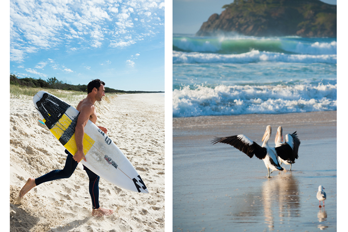 Parko and local birds