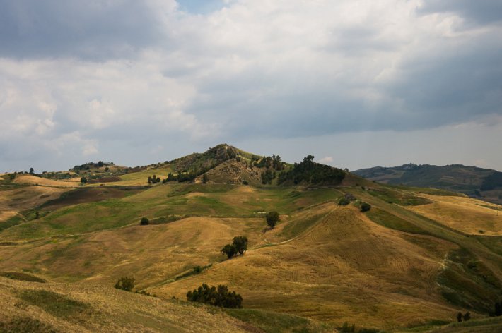 wheat fields in the central mountains