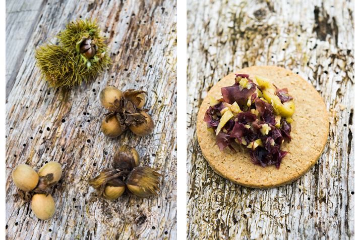 Foraged delicacies from Oonah O Dwyer.