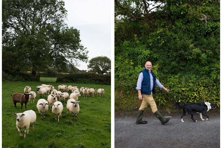 Donal Monahan and his flock.