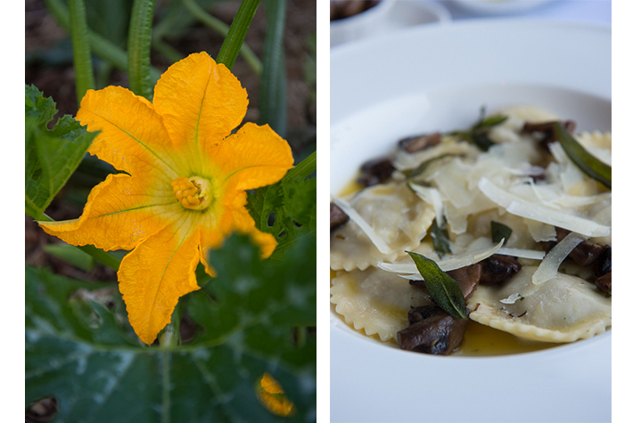 garden bloom; duck ravioli