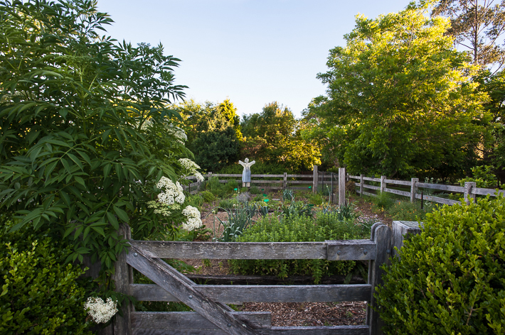 Herb garden