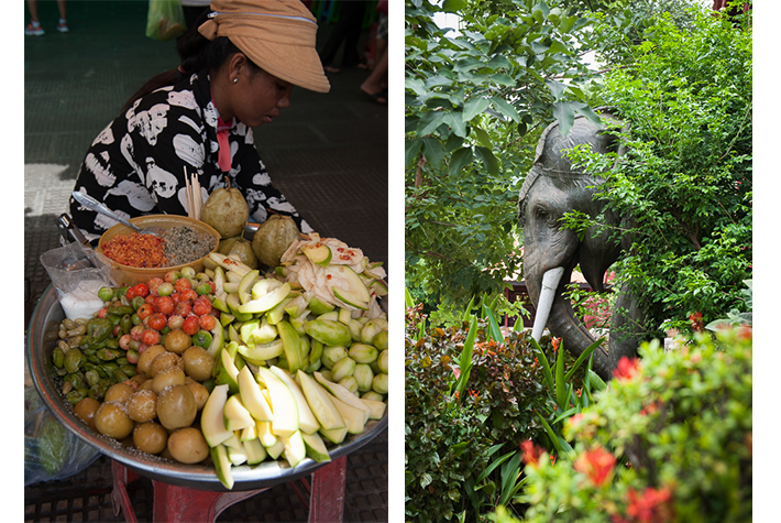 chili and salt dipped fruit, gardens of national museum