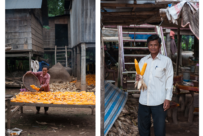 drying corn