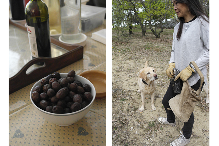 truffle hunting