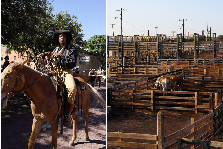 Drover, muster, Stockyards Fort Worth