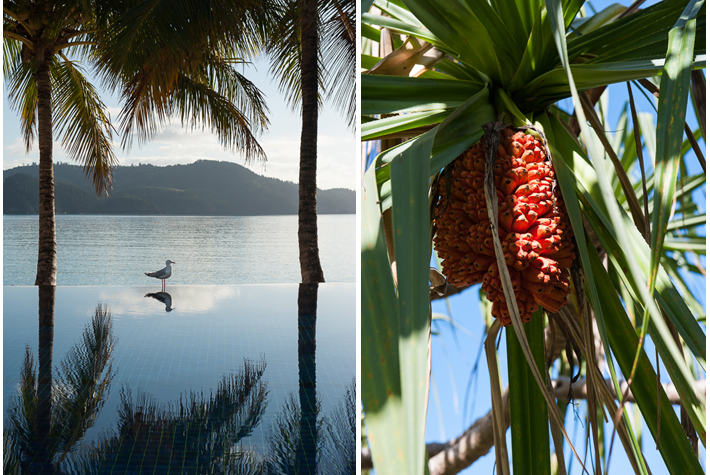 flora & fauna at Beach Club