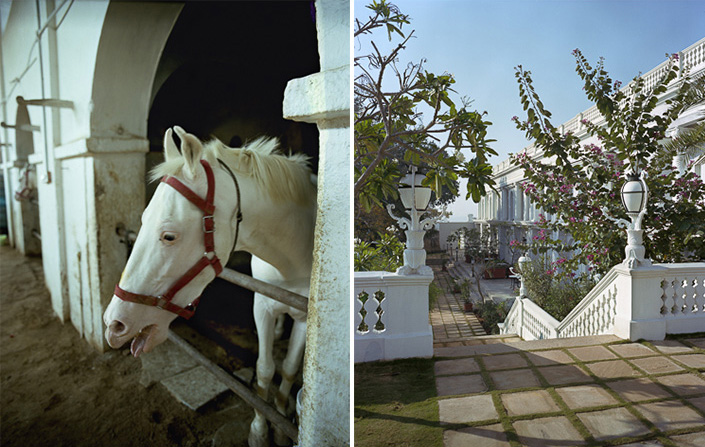 stables, terrace