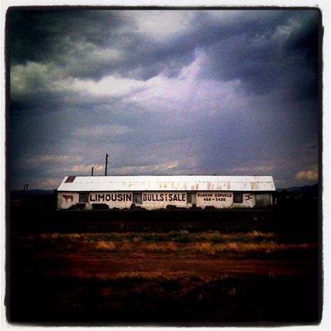 bull sales on Hwy 90 near Valentine