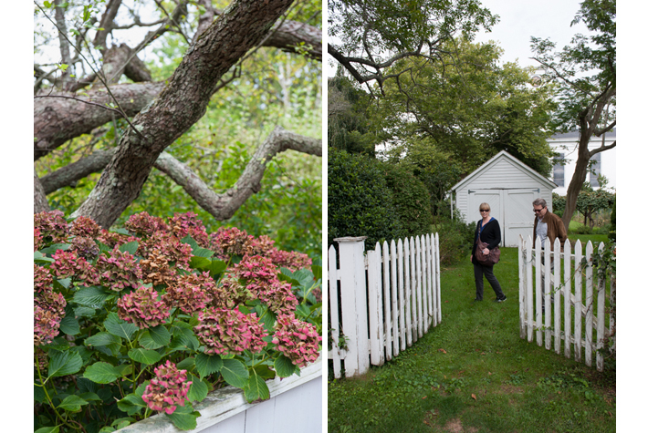 Grace Zaring Stone's yard