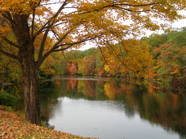 Mill Pond, Ivoryton