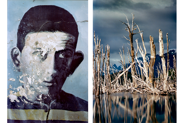 Political mural, dead trees, Ushuaia, Tierra del Fuego