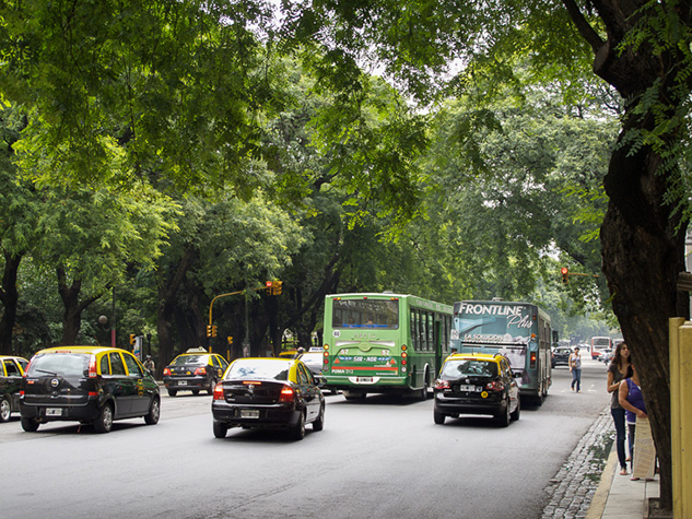 Tree Lined traffic