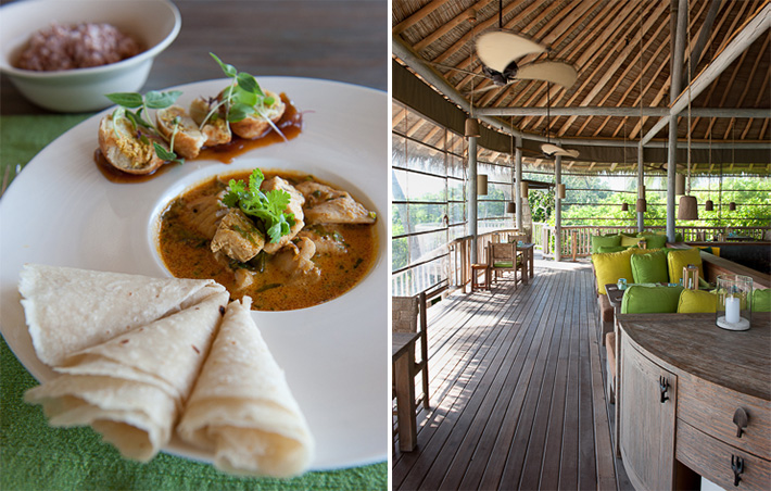 Maldivian Curry, Leaf