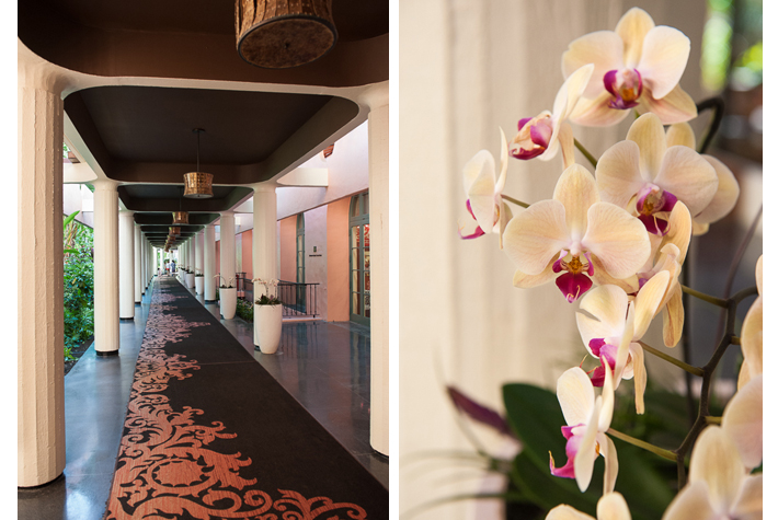 the orchid hallway