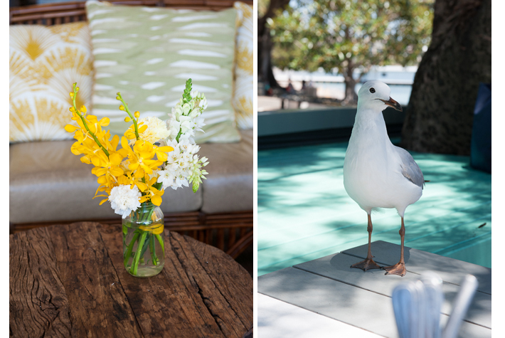 flora & fauna on tables