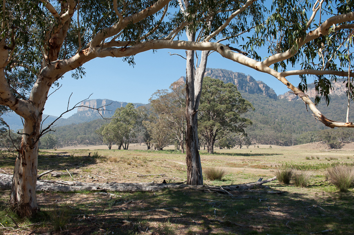 sunburnt country