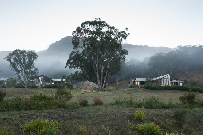 morning fog